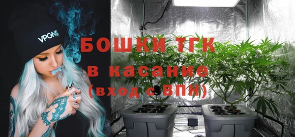 амф Белокуриха