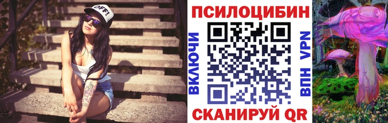 Купить где Гусиноозёрск Галлюциногенные грибы GOLDEN TEACHER