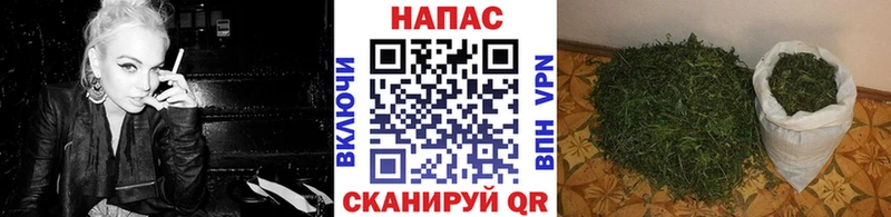 Бошки марихуана ГИДРОПОН  Купить  Гусиноозёрск 